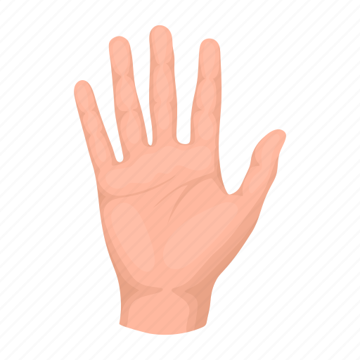 Body, fingers, hand, organ, palm, part, person icon - Download on Iconfinder
