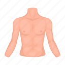 body, male, organ, part, person, torso