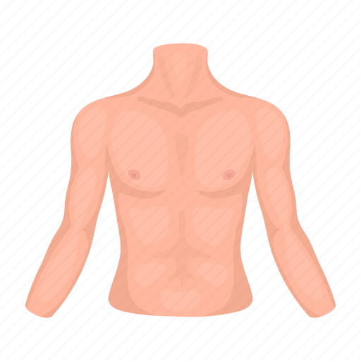Body, male, organ, part, person, torso icon - Download on Iconfinder