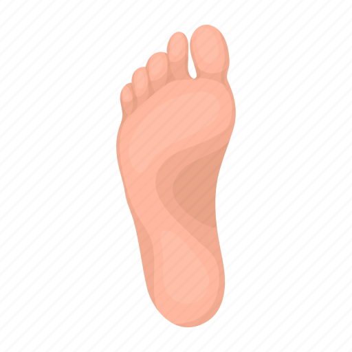 Body, fingers, foot, organ, part, person icon - Download on Iconfinder