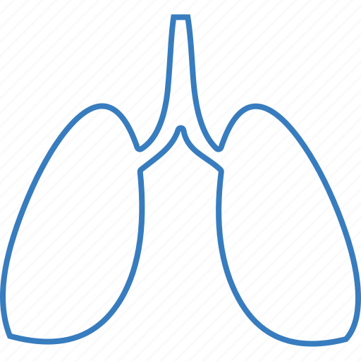 Body, bodypart, lungs icon - Download on Iconfinder