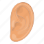 ear, body, human, part 