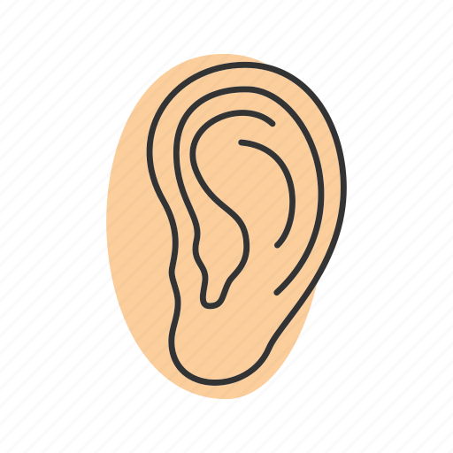 Body part, ear, hearing, human, pinna, anatomy, sense organ icon - Download on Iconfinder