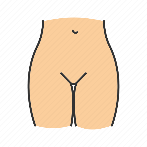 Bikini zone, body part, female, groin, hips, legs, stomach icon - Download on Iconfinder
