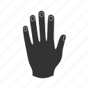 finger, hand, human, limb, nail, palm, wrist