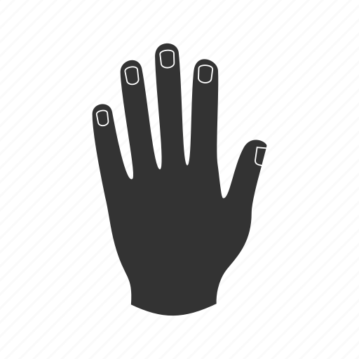 Finger, hand, human, limb, nail, palm, wrist icon - Download on Iconfinder