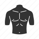 abdomen, body part, chest, male, shoulder, stomach, torso