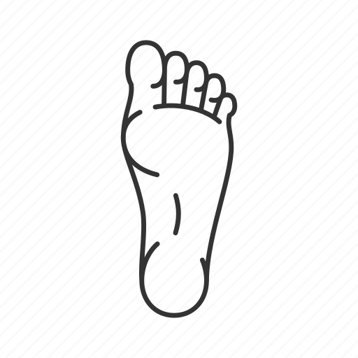 Foot, footprint, human, leg, limb, toe icon - Download on Iconfinder