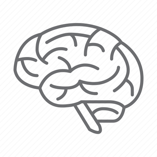 Brain, thinking, brainstorming, human, think, mind icon - Download on Iconfinder