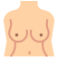 breast, beauty, parts, body, bust, female, woman, aesthetics, boobs 