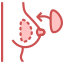 plastic, surgery, boobs, implant, cosmetic, breast, body, enhancement 