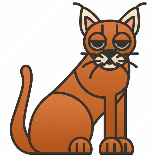 African, caracal, cat, feline, wild icon - Download on Iconfinder