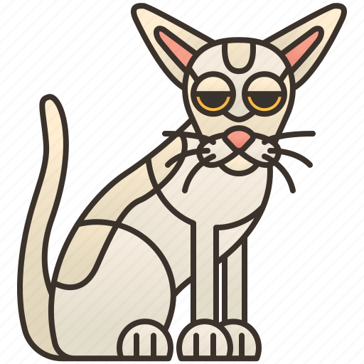 Cat, colorpoint, feline, pedigree, shorthair icon - Download on Iconfinder