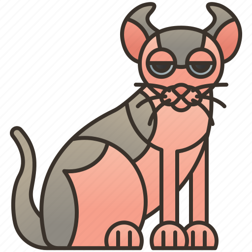 Cat, curled, ears, elf, hybrid icon - Download on Iconfinder