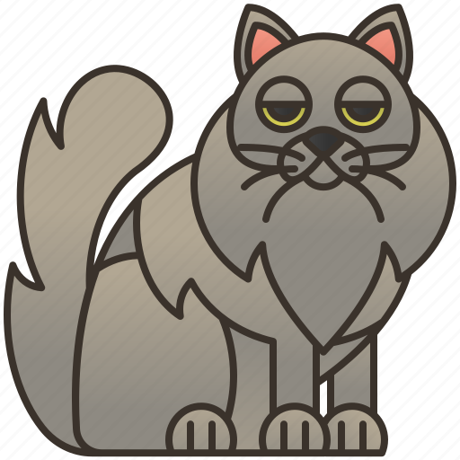 Cat, cute, fluffy, nebelung, pet icon - Download on Iconfinder