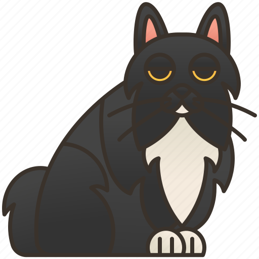 Cat, cute, longhair, pedigree, persian icon - Download on Iconfinder