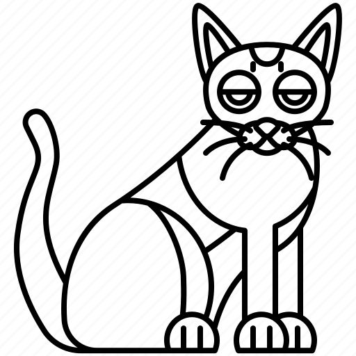 Breed, cat, chausie, feline, playful icon - Download on Iconfinder