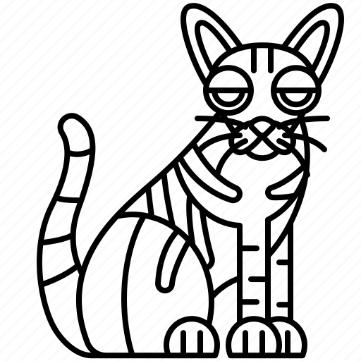 Cat, feline, oriental, shorthair, tabby icon - Download on Iconfinder