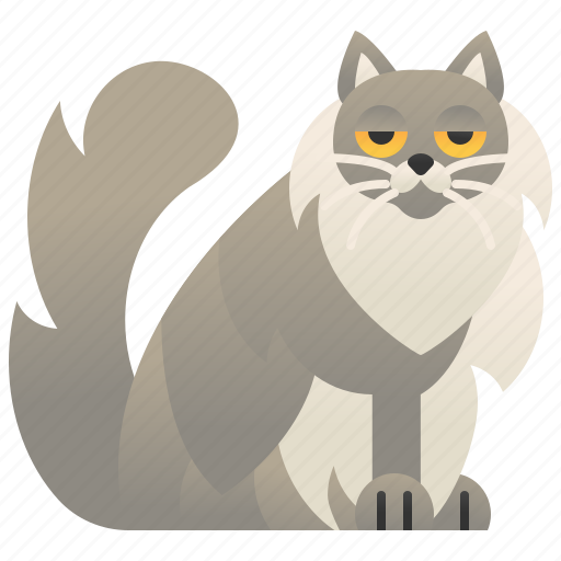 Asian, cat, feline, fluffy, longhair icon - Download on Iconfinder