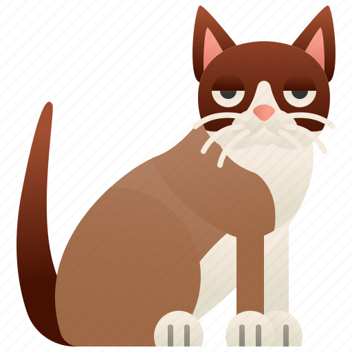 Birman, breed, burma, cat, sacred icon - Download on Iconfinder