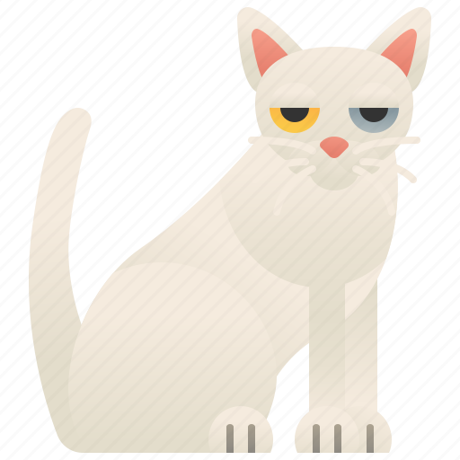 Cat, khao, manee, pedigree, thailand icon - Download on Iconfinder