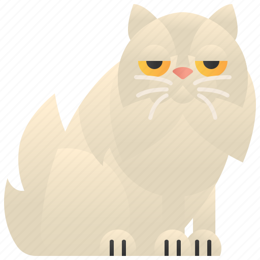 Adorable, cat, faced, peke, persian icon - Download on Iconfinder