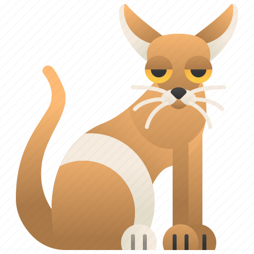 Cat, friendly, pet, peterbald, shorthair icon - Download on Iconfinder