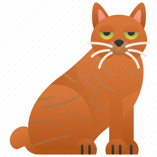 Cat, feline, large, pixiebob, purebred icon - Download on Iconfinder