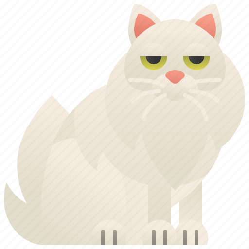 Adorable, cat, fluffy, longhair, tiffanie icon - Download on Iconfinder