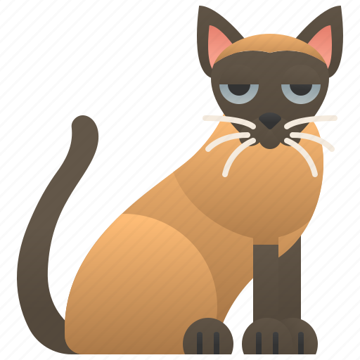 Adorable, breed, cat, thailand, tonkinese icon - Download on Iconfinder