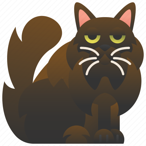 American, cat, chocolate, fluffy, york icon - Download on Iconfinder