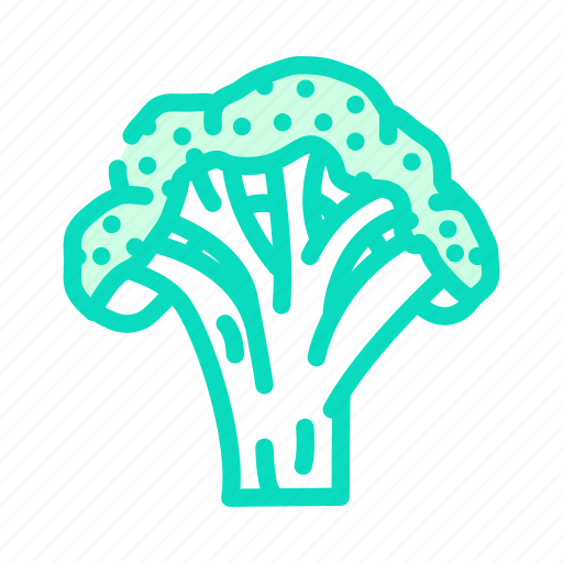 Broccoli, cut, vegetable, green, food, fresh icon - Download on Iconfinder