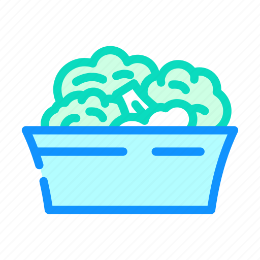 Plate, broccoli, vegetable, green, food icon - Download on Iconfinder