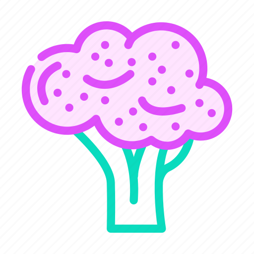 Purple, broccoli, vegetable, green, food, fresh icon - Download on Iconfinder