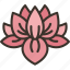 lotus, flower, blossom, meditation, garden 