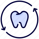 dental, dentist, recheck, refresh, tooth