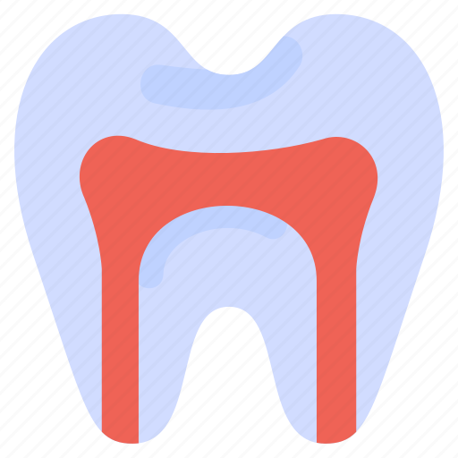 Anatomy, canal, dentist, health, medical, root, tooth icon - Download on Iconfinder