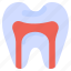 anatomy, canal, dentist, health, medical, root, tooth 