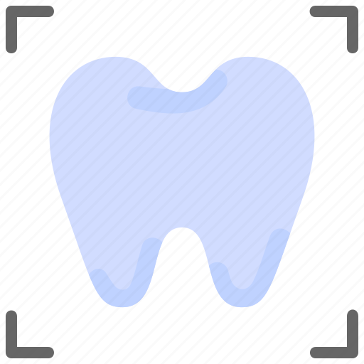 Dentist, domography, tooth, xray icon - Download on Iconfinder