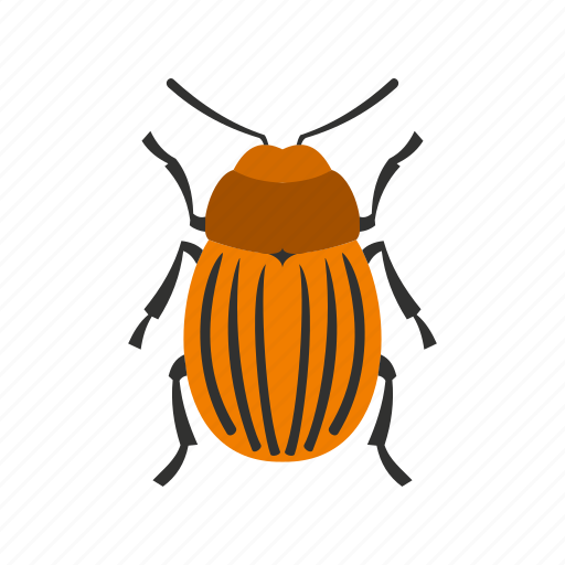 Colorado beetle, floral, flower, fly, spring, tattoo, tropical icon - Download on Iconfinder