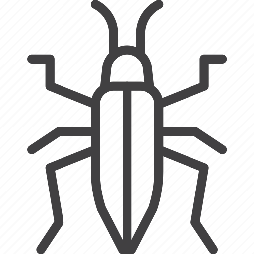 Bedbug, bug, chinch icon - Download on Iconfinder
