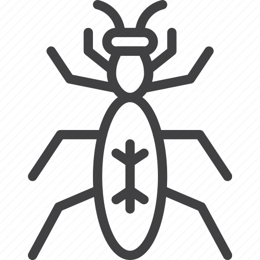 Beetle, bug, insect icon - Download on Iconfinder