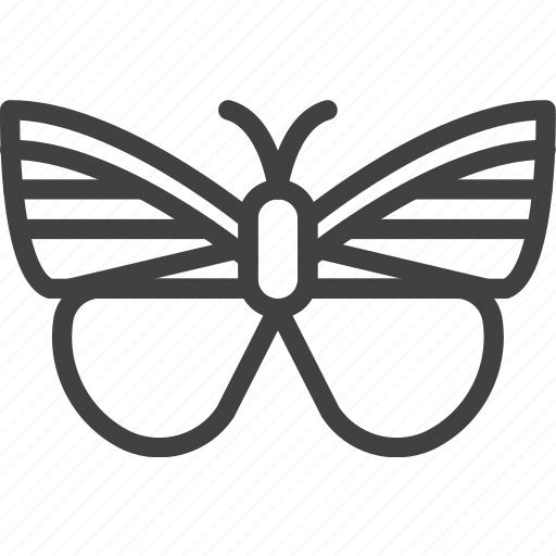 Butterfly, insect, moth, wing icon - Download on Iconfinder