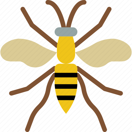 Bug, insect, nature, wasp icon - Download on Iconfinder