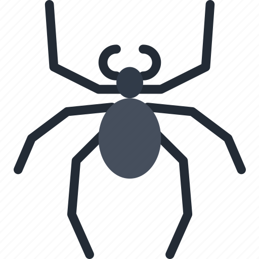 Bug, insect, nature, spider icon - Download on Iconfinder
