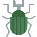 beetle, bug, dung, insect, nature
