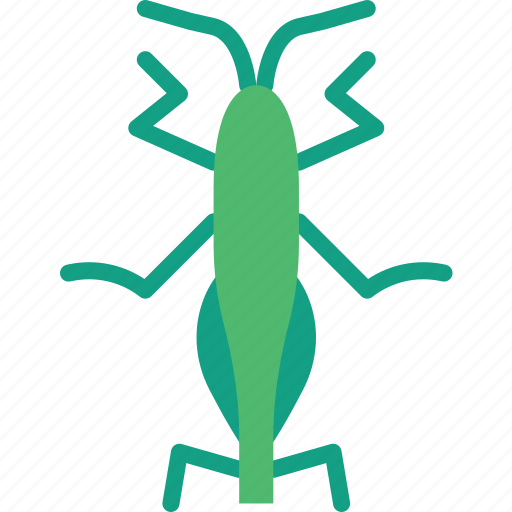 Bug, grasshopper, insect, nature icon - Download on Iconfinder