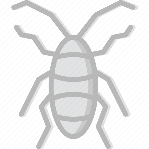 Bug, cockroach, insect, nature icon - Download on Iconfinder