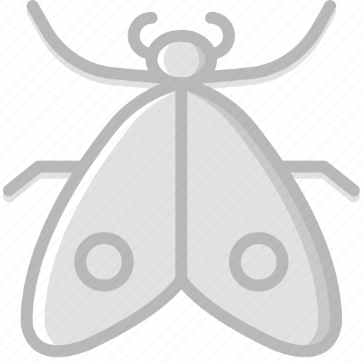 Bug, insect, moth, nature icon - Download on Iconfinder