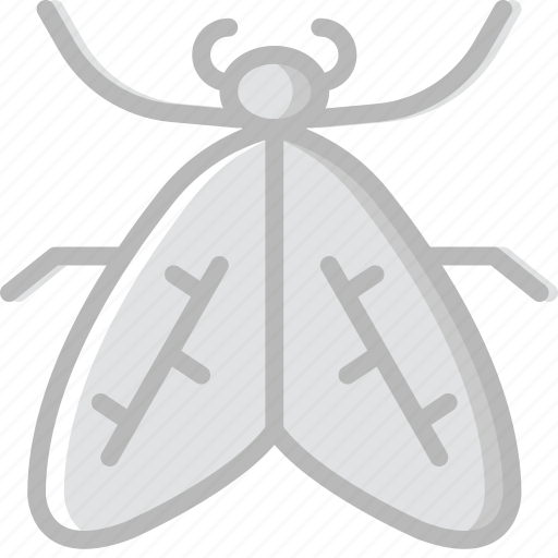 Bug, insect, moth, nature icon - Download on Iconfinder